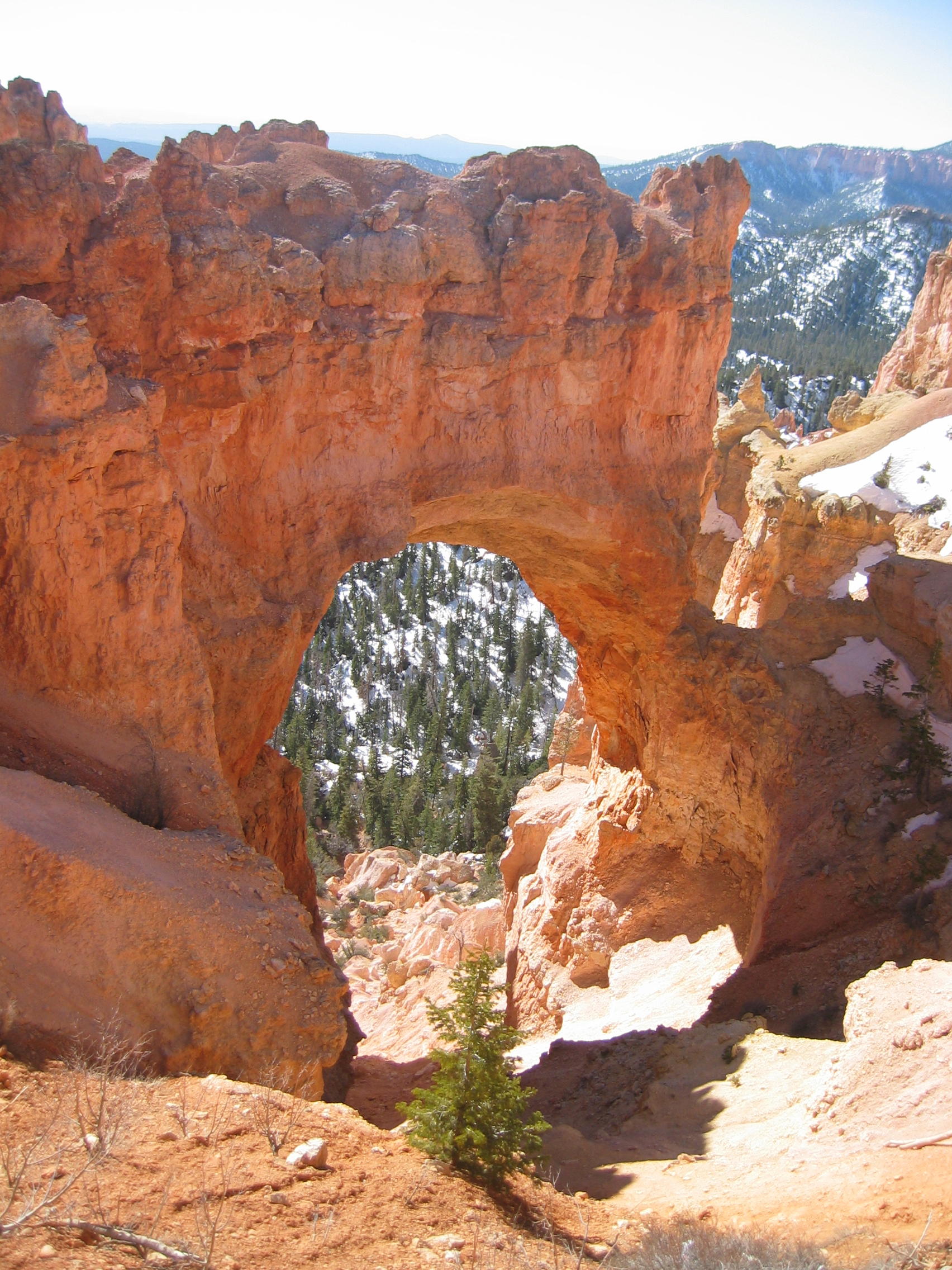 natural-bridge.jpg
